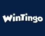 Win Tingo Casino.com