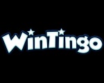 Win Tingo Casino.com